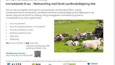 Markvandring 25 mai Innmarksbeite til sau