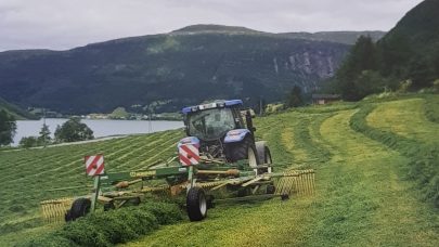 Grovforokonomihefte