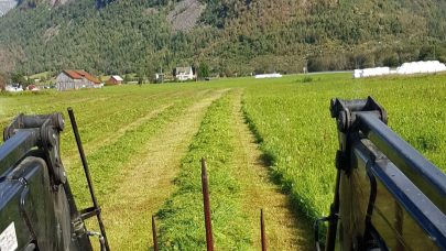 Traktorbilde Hege