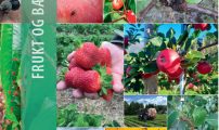 Forside plantevernplanen 2023