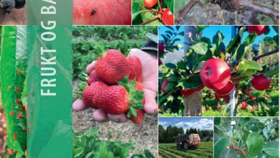 Forside plantevernplanen 2023