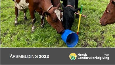 Arsmelding 2022