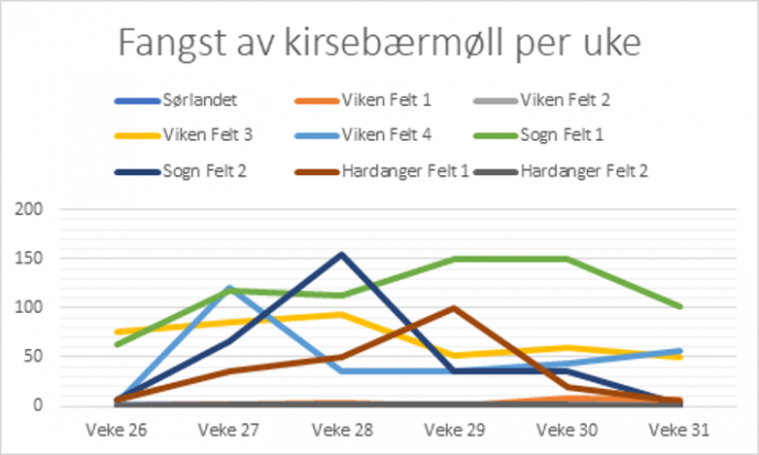 Fangst av kirsebaermoll per uke 2022