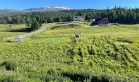 Langeset Gard