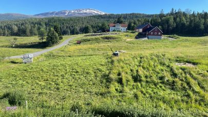 Langeset Gard