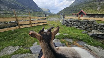 LA Rausmesdalen 25 1